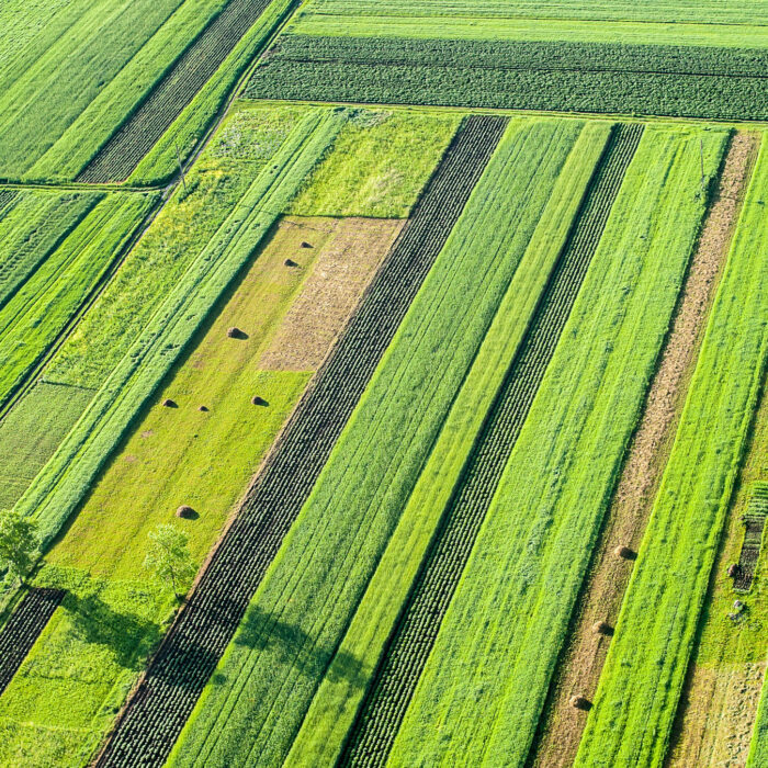 farming.software -Crop rotation planning